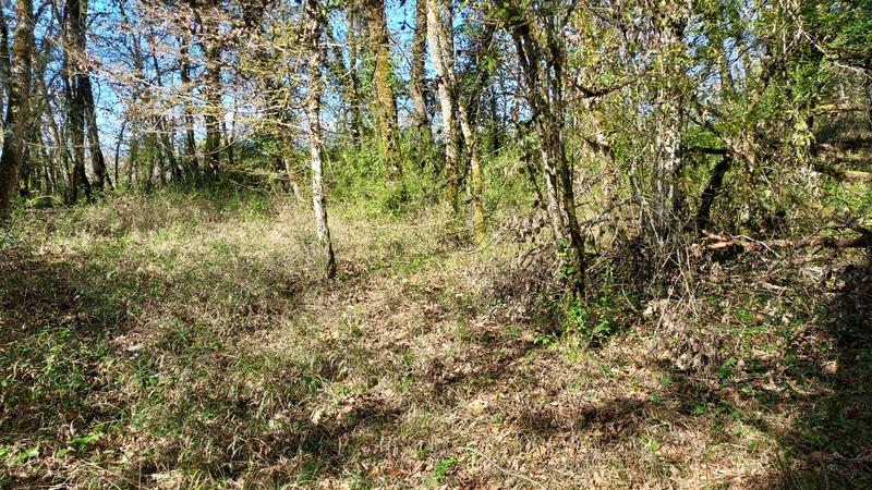 Terrain constructible - 1 255 m²