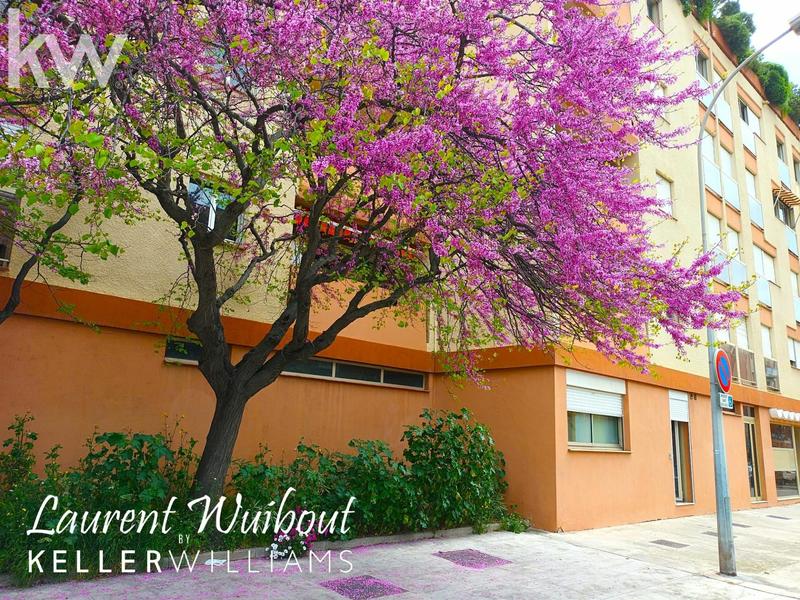 Appartement - 28 m² - 1 pièce