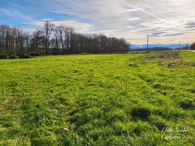 Terrain constructible - 7 732 m²