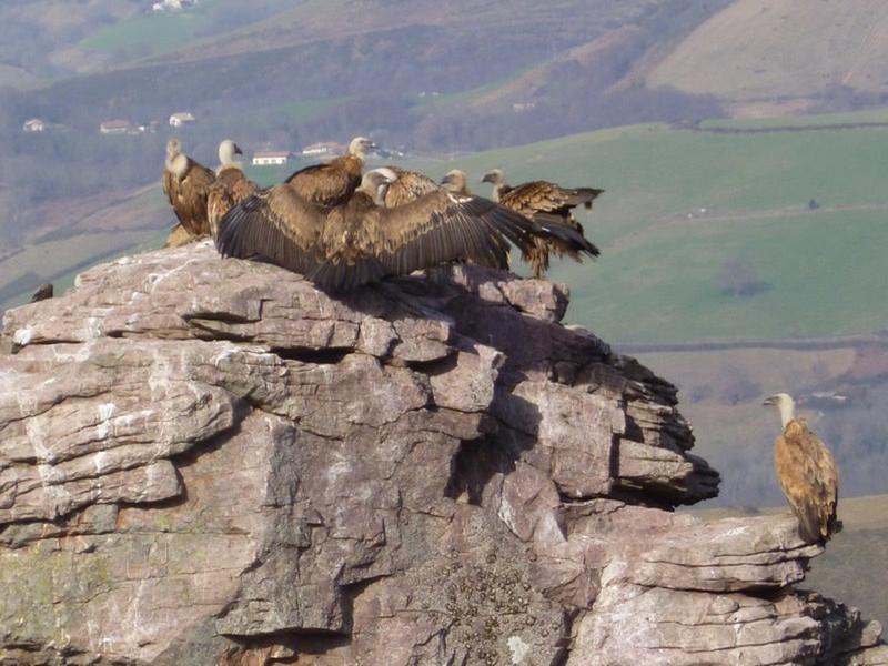 Randonnée "Sur les traces des vautours"