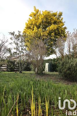 Maison - 75 m² - 3 pièces