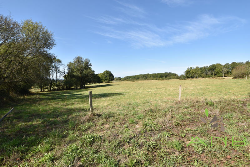 Maison ancienne - 145 m² - 6 pièces