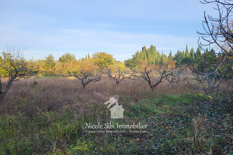 Terrain agricole - 3 300 m²