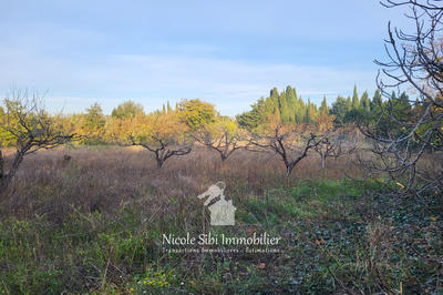 Terrain agricole - 3 300 m²