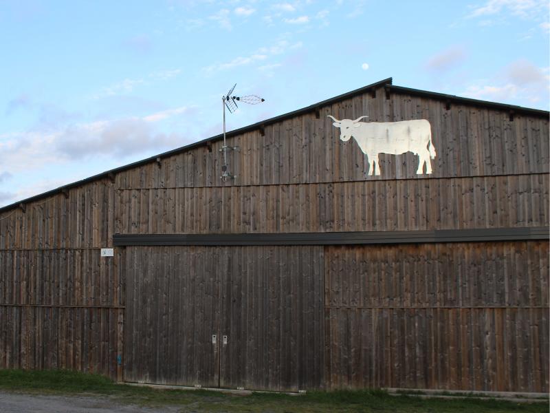 Semaine de la Biodiversité - Balade transhumance et repas à la ferme des prairies de Pallard