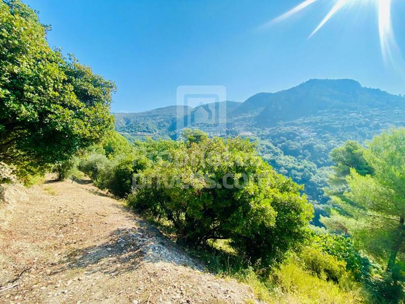 Terrain constructible - 1 400 m²