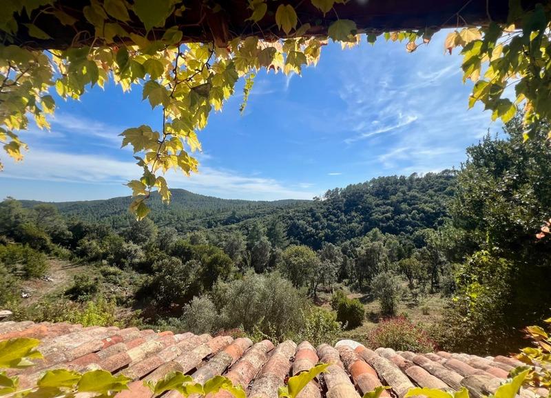 Maison - 196 m² - 6 pièces