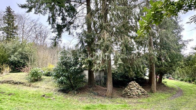 Terrain de loisirs - 96 594 m²