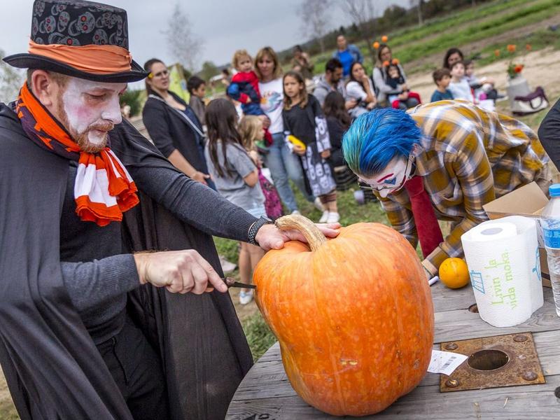 Fête de la citrouille et Halloween, à la Cueillette de l'Aragnon