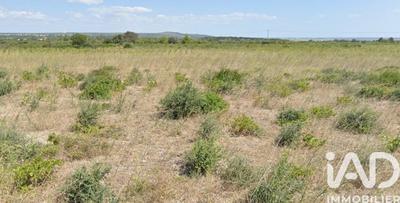 Terrain agricole - 2 940 m²