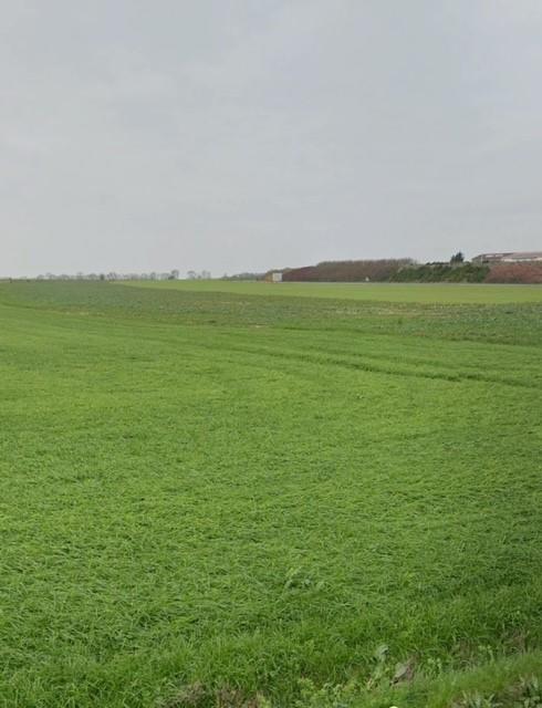 Terrain constructible - 103 753 m²