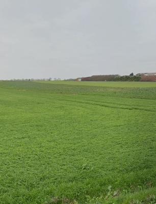 Terrain constructible - 103 753 m²