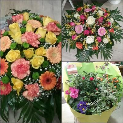 Les Fleurs de Barbey