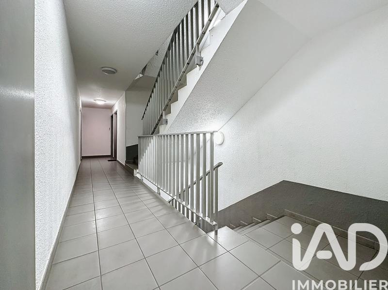 Studio - 25 m² - 1 pièce