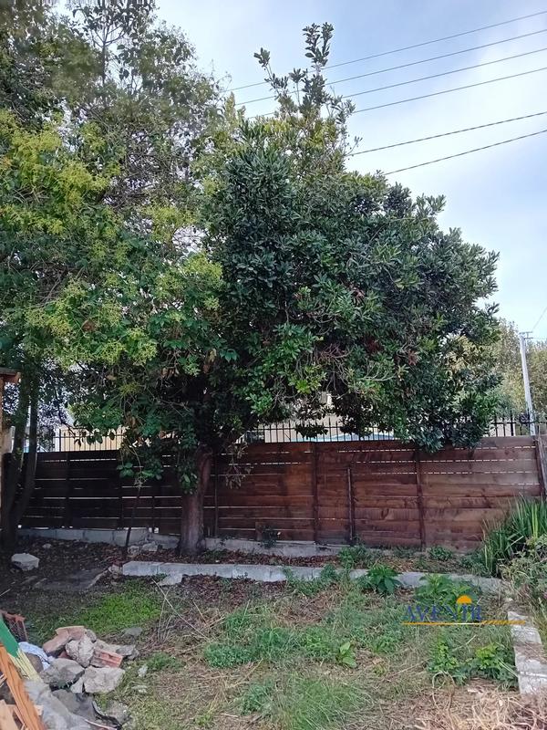 Maison - 36 m² - 2 pièces