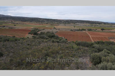 Terrain agricole - 13 475 m²