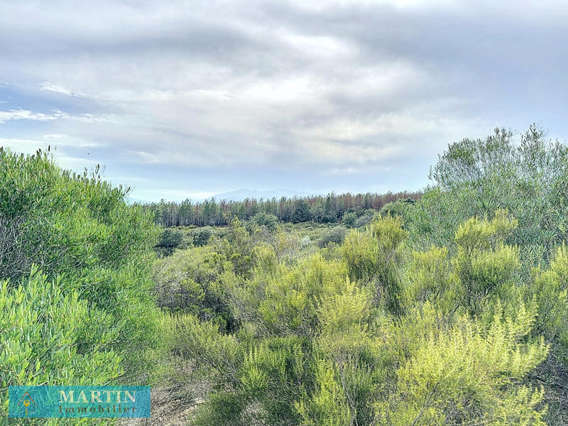 Terrain de loisirs - 24 490 m²