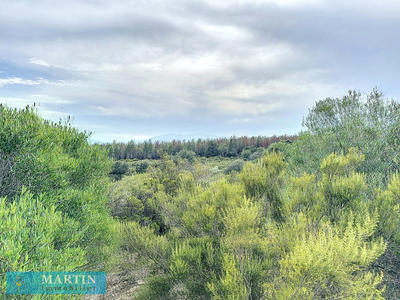 Terrain de loisirs - 24 490 m²