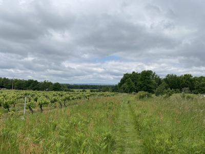 Terrain - 10 076 m²