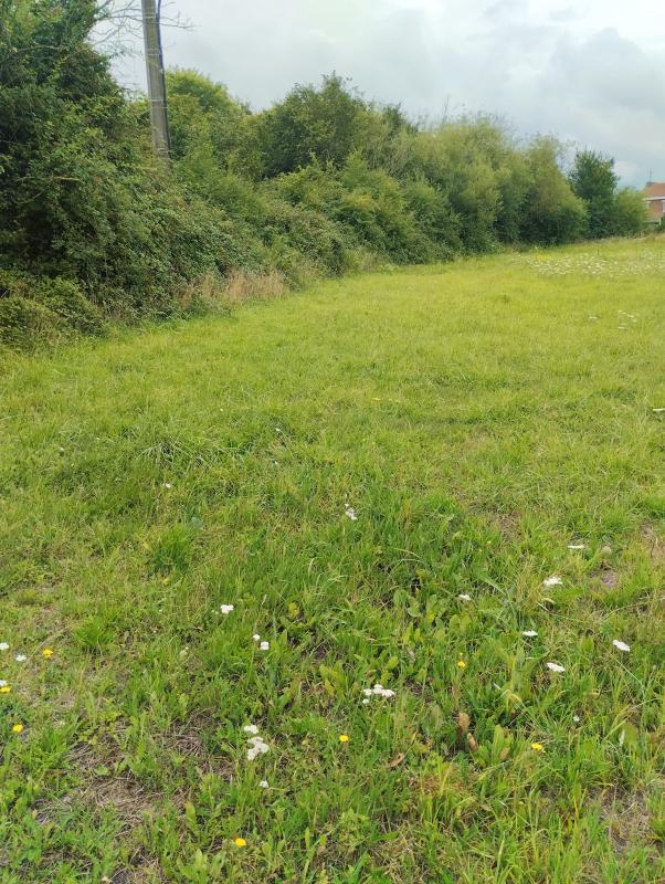 Terrain constructible - 2 271 m²