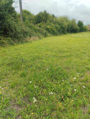 Terrain constructible - 2 271 m²