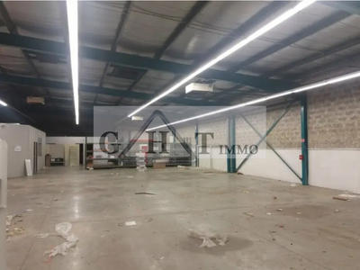 Entrepôt - 980 m²