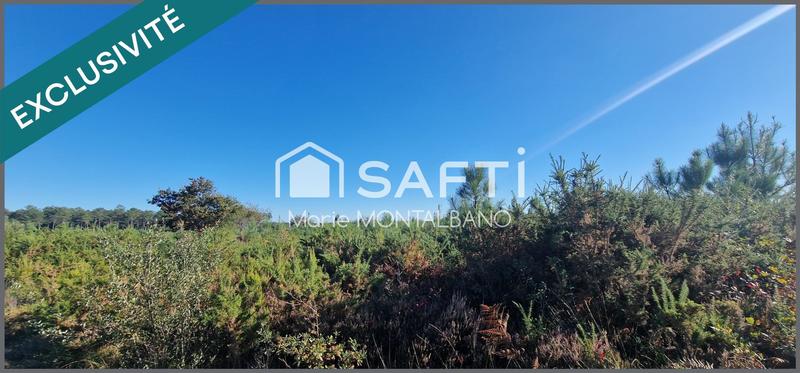 Terrain - 60 400 m²