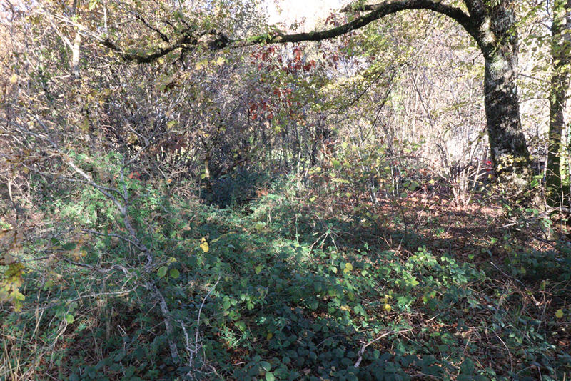 Maison - 45 m² - 1 pièce