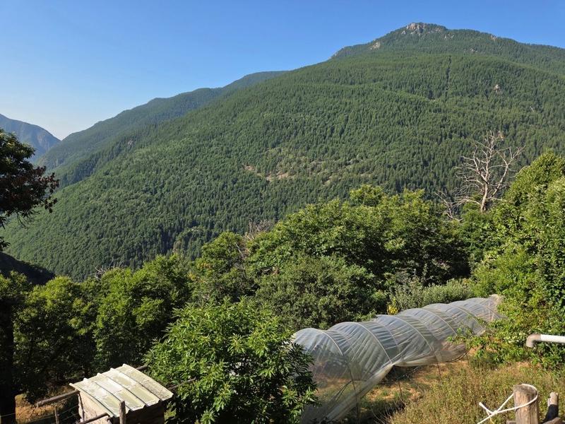 Maison - 80 m² - 3 pièces