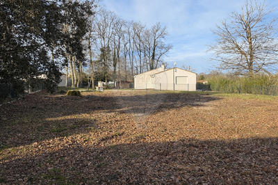Terrain - 935 m²