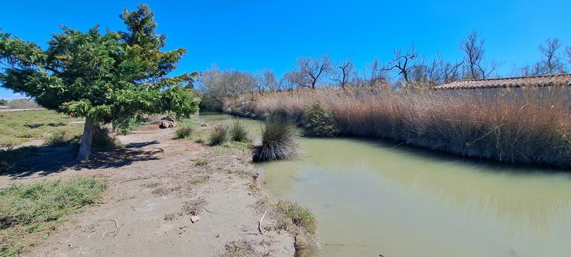 Propriété - 255 m² - 9 pièces