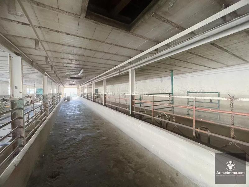 Magasins - 269 m² - 11 pièces