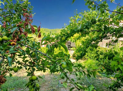 Terrain de loisirs - 430 m²