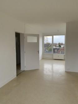 Appartement ancien - 64 m² - 3 pièces