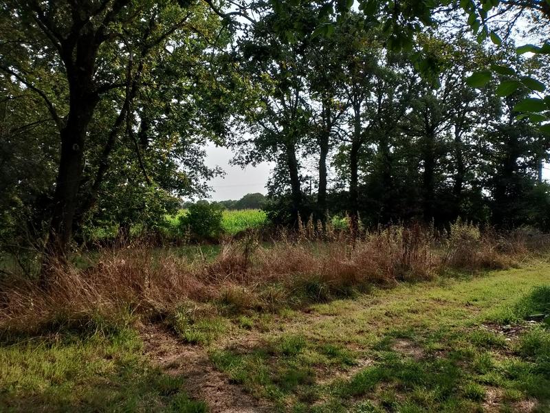 Maison - 63 m² - 2 pièces