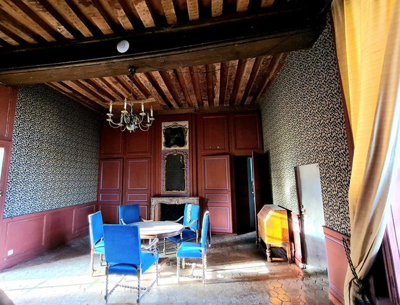 Château - 2 246 m² - 40 pièces