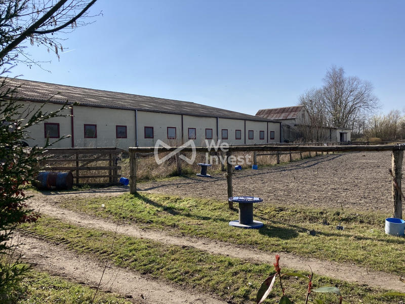 Local d'activités - 1 200 m² - 1 pièce