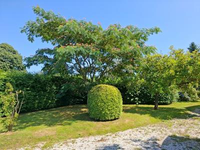 Maison de campagne - 37 m² - 2 pièces