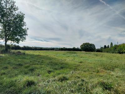 Terrain constructible - 2 600 m²