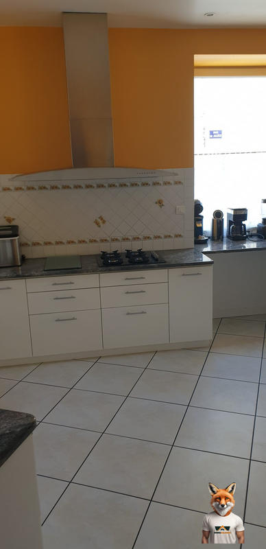 Maison - 387 m² - 18 pièces