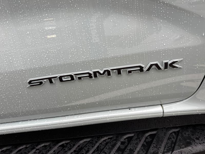 Ford Ranger Double Cabine Dca 2.3 Ecoboost Gtdi 281 Ch Phev s&amp;S Bva10 e-4wd Stormtrak