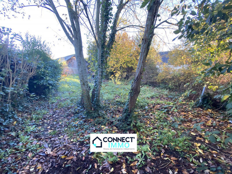 Maison - 75 m² - 2 pièces