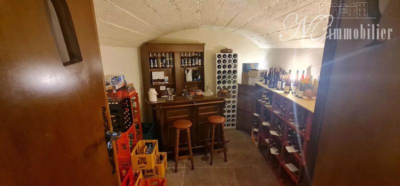 Immeuble mixte - 420 m² - 10 pièces