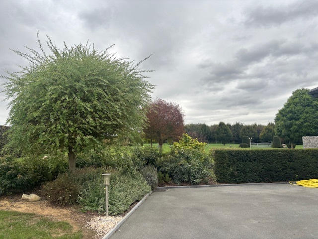 Maison - 232 m² - 6 pièces