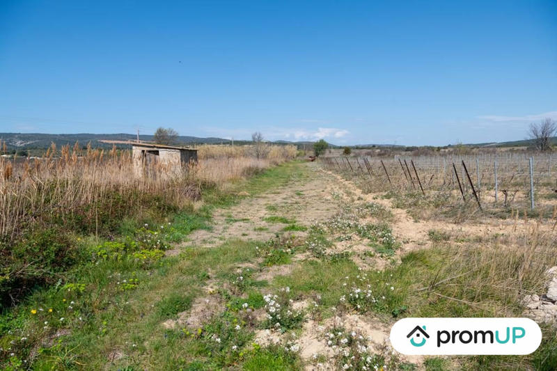 Terrain agricole - 41 115 m²