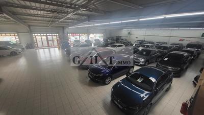 Local commercial - 955 m²