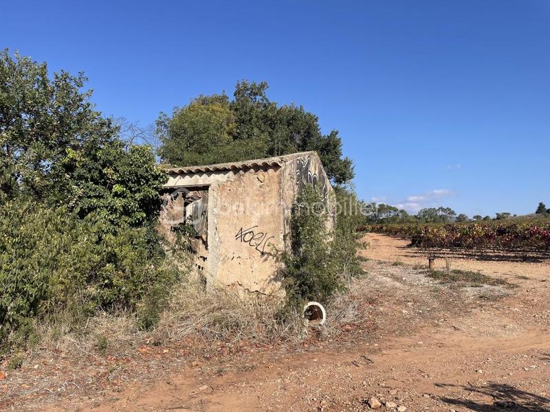 Terrain agricole - 45 000 m²