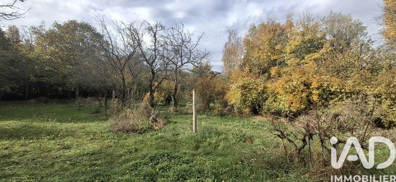 Maison - 66 m² - 3 pièces