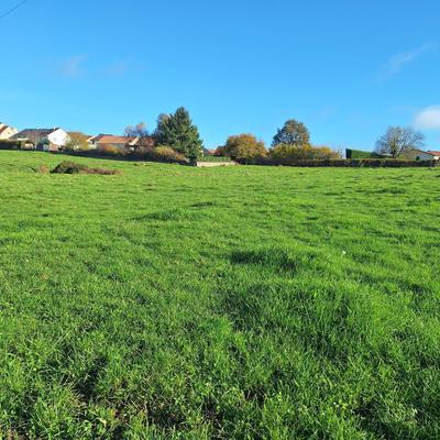 Terrain - 12 975 m²