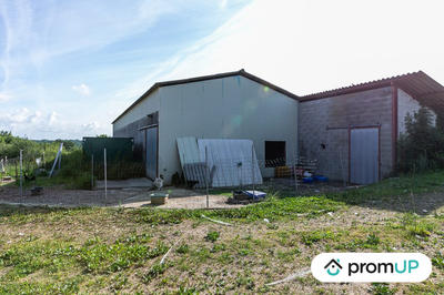 Terrain agricole - 5 000 m²